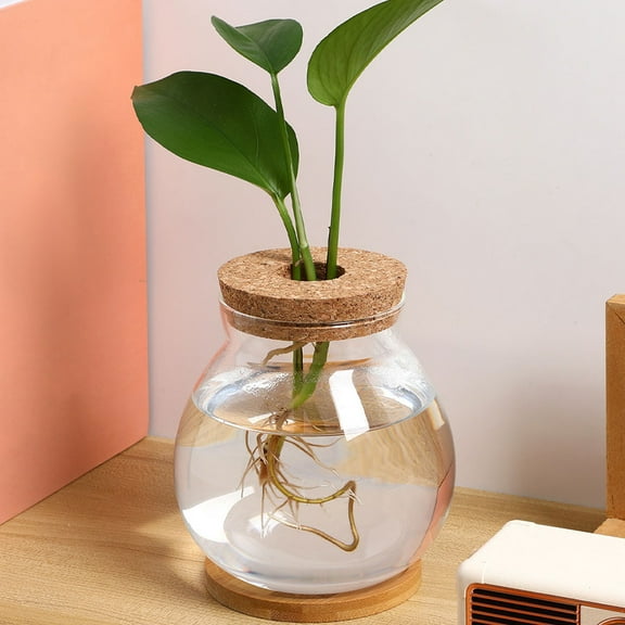 MLINS Hydroponic Glass Planter For Indoor Plants Transparent Plant Terrarium Plant Propagation Stations Desktop Glass Plant Pot With Wooden Base