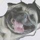 thumbnail image 3 of Injueey Pegatina de pared rota 3D para gatitos, pegatina de inodoro para pared, pegatina decorativa para Baño Decoración del hogar Perro, 3 of 4