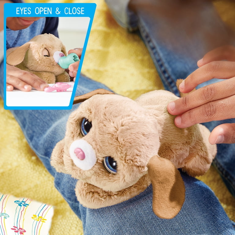 Hasbro FurReal Newborns Kitty Interactive Plush Toy - Soft Baby Cat With Bottle & Snacks, Sounds & Movements For Kids 4+
