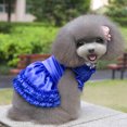 thumbnail image 2 of Camisa de encaje Zulema vestido de gato Cachorro de perro mascota con bowknot, 2 of 8