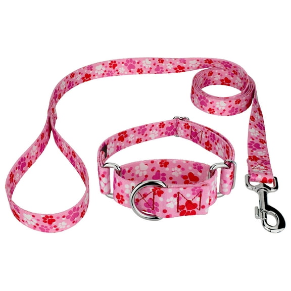 Country Brook Petz® Puppy Love Martingale Dog Collar and Leash, Extra Large