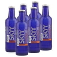thumbnail image 2 of Pack de 24 Bebida Preparada Skyy Tamarindo 275 ml, 2 of 3