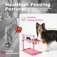 thumbnail image 4 of Cuencos Elevados SHAINFUN Rosa con Soporte Ajustable y 2 Cuencos de Acero Inoxidable para Perros Gra, 4 of 6