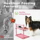 thumbnail image 4 of Cuencos Elevados SHAINFUN Rosa con Soporte Ajustable y 2 Cuencos de Acero Inoxidable para Perros Gra, 4 of 6