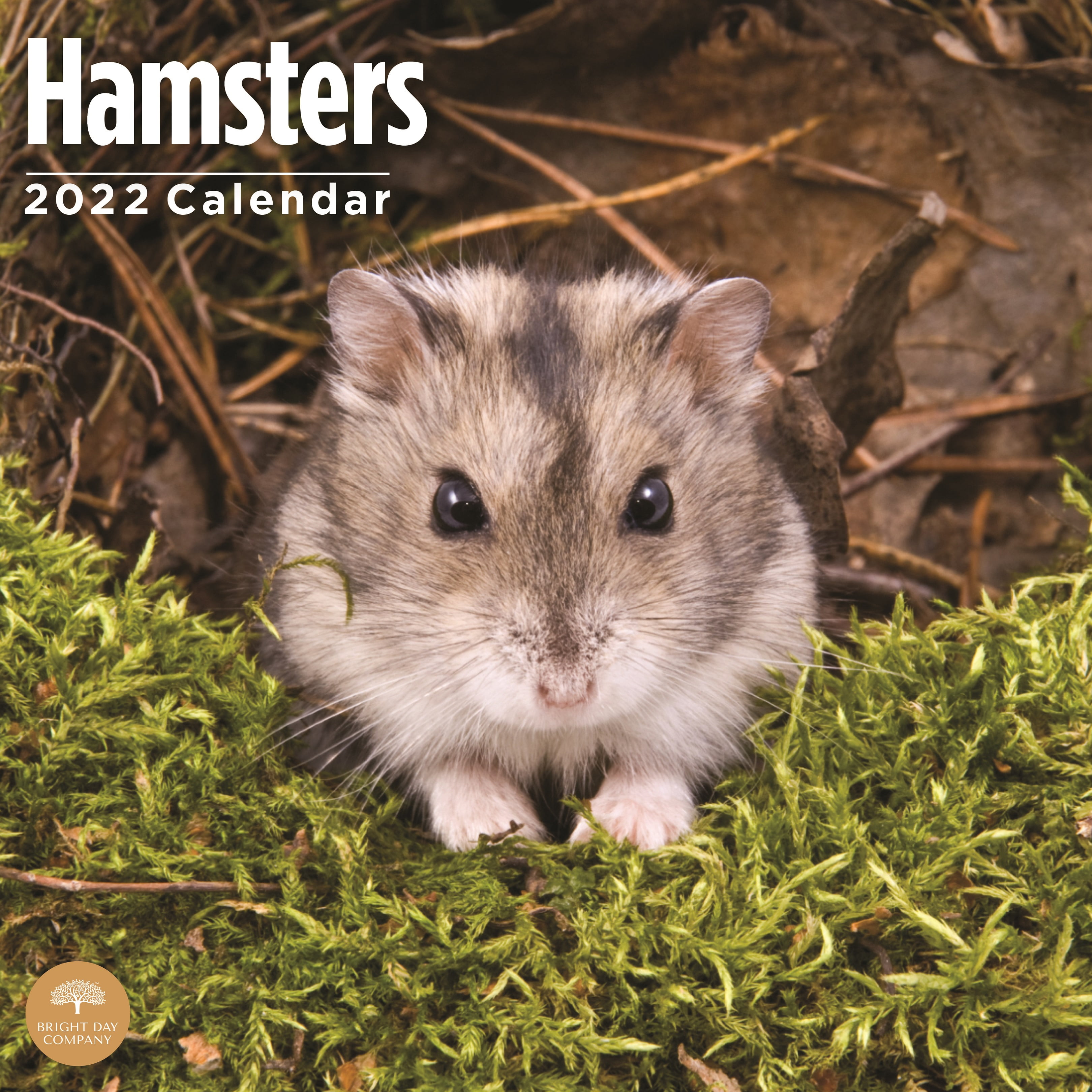 2022 Hamsters Wall Calendar By Bright Day, 12 X 12 Inch - Walmart.com