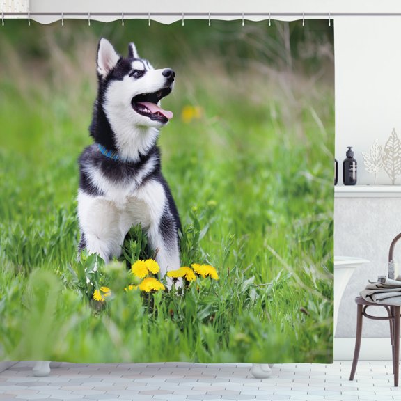 Ambesonne Alaskan Malamute Shower Curtain, Puppy on Grass, 69"Wx70"L, Multicolor
