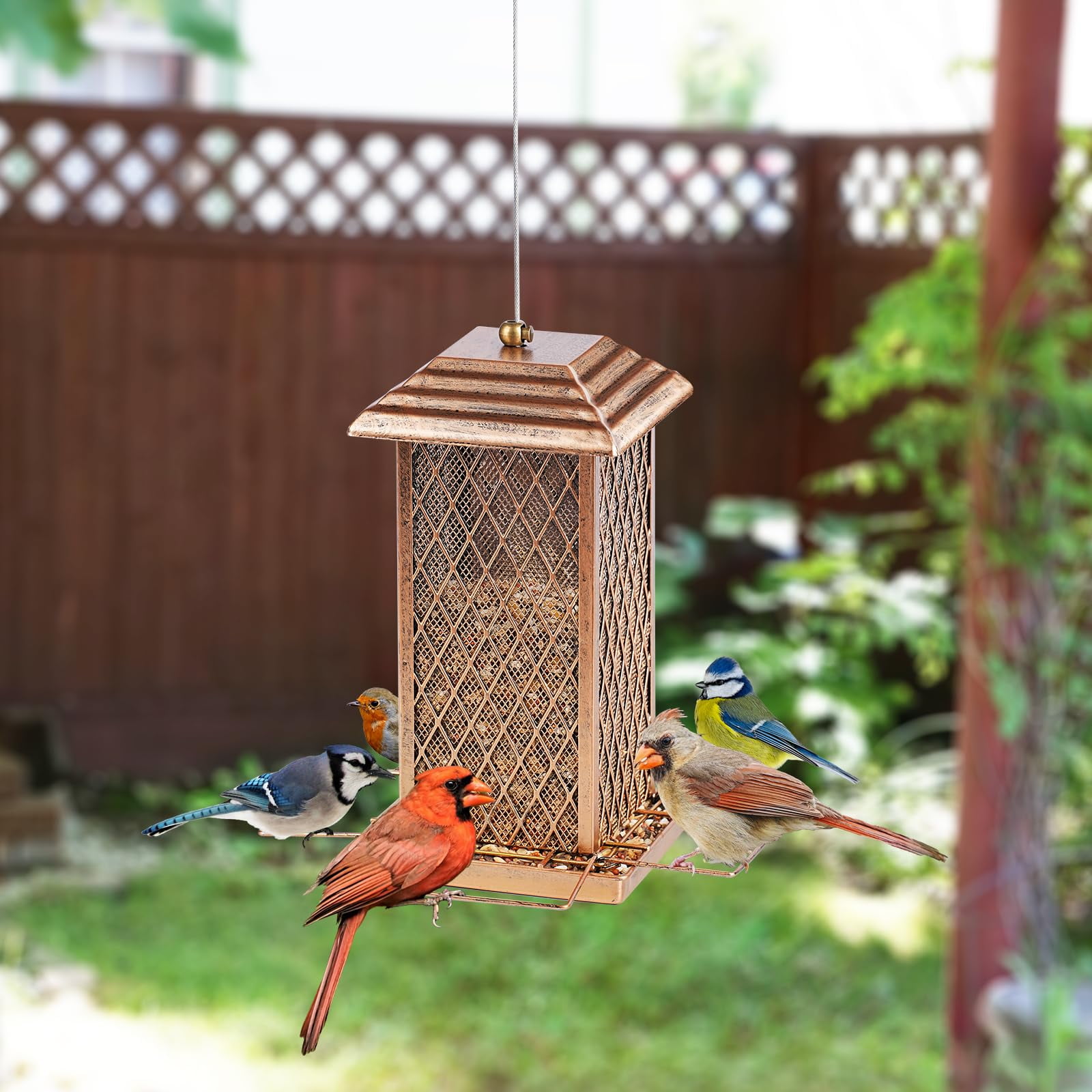 IWNTWY Metal Wild Bird Feeder for Outdoor Hanging, Heavy Duty Birdfeeder 3 lbs Capacity for Garden Yard Decoration