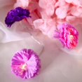 thumbnail image 2 of Efavormart 4 FT 10 LED Purple and Lavender Carnation Flowers Battery Operated Fairy String Lights Party Home Kitchen Bar Decoration, 2 of 9
