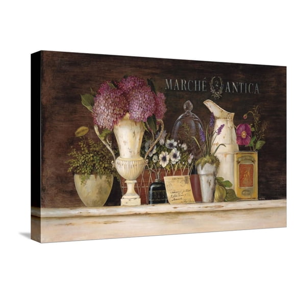 Art.com Marche Antica Vignette Stretched Canvas Print Wall Art by Angela Staehling, 24" x 16"