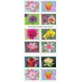 thumbnail image 3 of Sellos postales USPS Garden Beauty Forever (20 sellos), 3 of 3