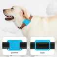 thumbnail image 2 of Vikakiooze 2022 Discount Protective Cover Location Anti-lost Silicone Case With Buckle For AirTags Case, 2 of 2