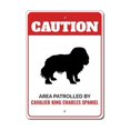 thumbnail image 1 of Señal de metal de precaución para perrera de perro con Cavalier King Charles Spaniel, tamaño de 8 x 12 pulgadas, 1 of 4