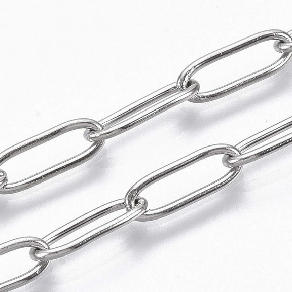 39.37 inch(1m) 304 Stainless Steel Paperclip Chains Drawn Elongated Cable Chains Stainless Steel Color DIY Craft Chain for Women Jewelry Making Necklace Chains 12x4x1mm