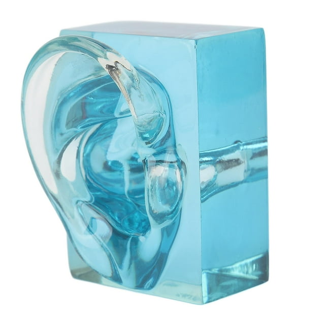 Modèle d'oreille droite en acrylique bleu transparent et étanche pour prothèses tives
