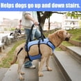 thumbnail image 4 of Coodeo Rehabilitation Support Series Adjustable Dog Lifting Aid Full Body Harnesses, Blue, S (14 in to 21 in Chest Size), 4 of 6