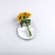 thumbnail image 4 of Redondo transparente 280 mm 28x28x125 CM Acrílico colgante de pared sala de estar colgante de pared pecera florero hidropónico creativo decoración de pared contenedor de pared ANGGREK Otros, 4 of 8