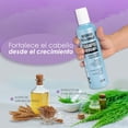 thumbnail image 3 of Shampoo Cola De Caballo Fortificante Nefertiti 300 ml, 3 of 6