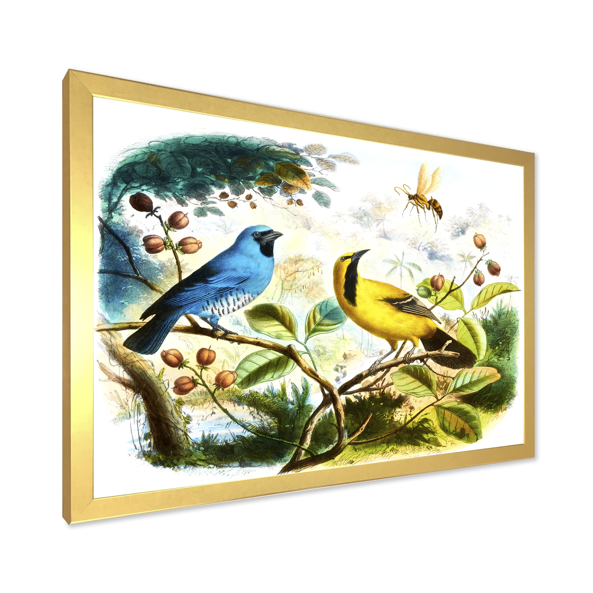 Designart 'Yellow and Blue Bird In The Wild' Traditional Framed Art Print