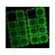 thumbnail image 5 of 1 pieza para iPhone 13 caso brilla en la oscuridad noctilucente oscuridad fluorescente cubierta protectora ultra delgada TPU goma silicona caso para iPhone 13 6.1 pulgadas cráneo JM, 5 of 5