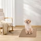 thumbnail image 1 of Almohadilla lavable y reutilizable para orina de mascotas | Tapete desodorizante grueso para perros | Absorción rápida de agua y secado rápido | Tapete para interiores y exteriores | 1 unidad, 1 of 7