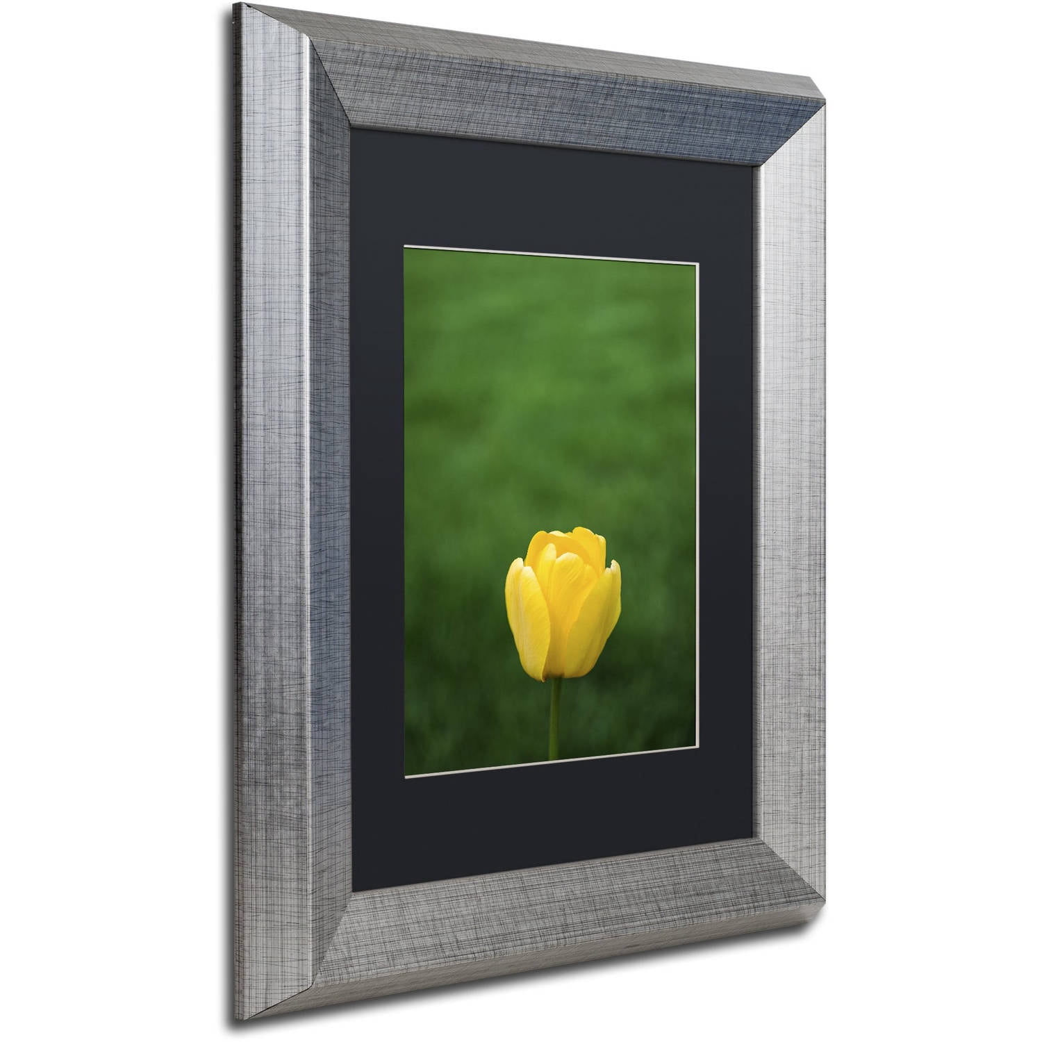 Trademark Fine Art "A Lone Yellow Tulip" Canvas Art by Kurt Shaffer, Black Matte, Silver Frame