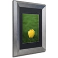 thumbnail image 2 of Trademark Fine Art "A Lone Yellow Tulip" Canvas Art by Kurt Shaffer, Black Matte, Silver Frame, 2 of 4
