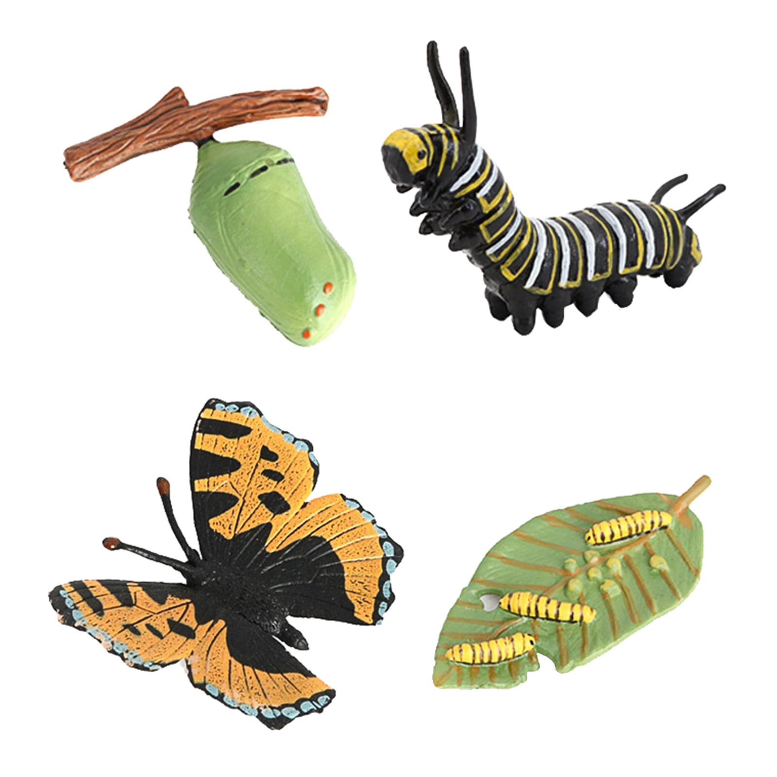 Insekten Kunststoff Biene Spielzeug 4 stück Lebensdauer Zyklus Figuren 