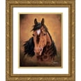 thumbnail image 1 of Petrikova, Eva 20x24 Gold Ornate Wood Framed with Double Matting Museum Art Print Titled - Brwon Horse, 1 of 4