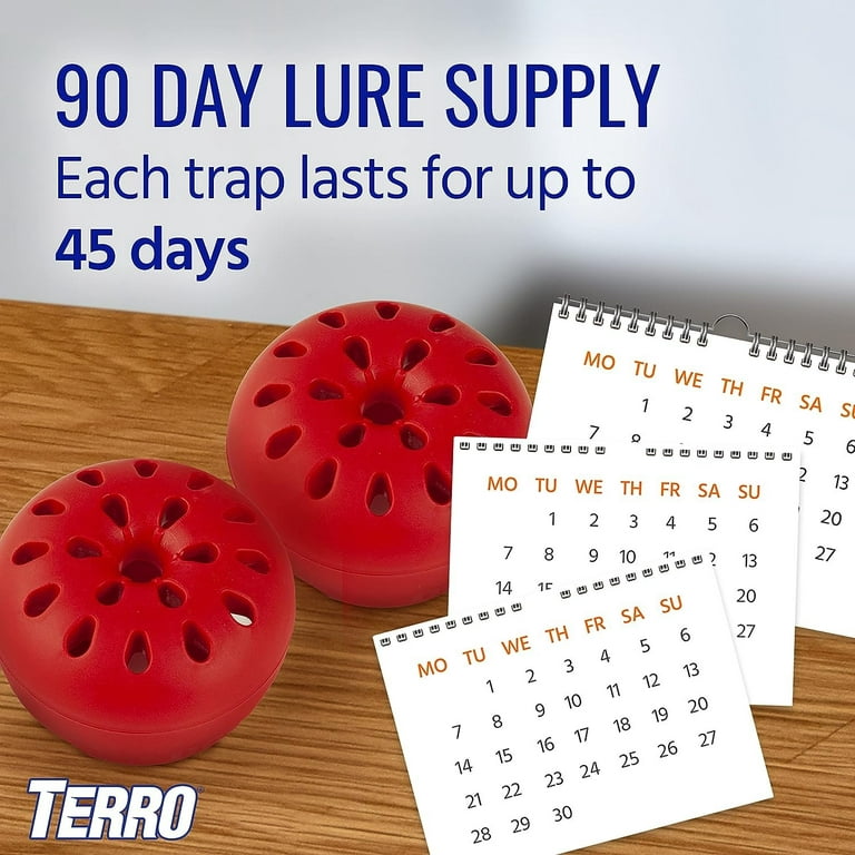 TERRO T2503-3 Ready-to-Use Indoor Fruit Fly Trap with Built in