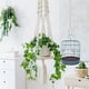 thumbnail image 4 of 4 Piezas Macrame Beige Planta Colgador Extensor Cuerda Planta Colgante Cesta Extensor Grandes Colgantes Macetas (Beige), 4 of 7
