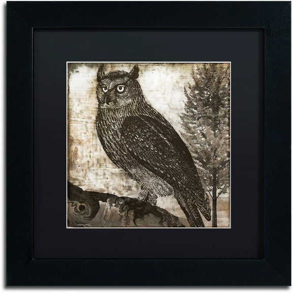 Trademark Fine Art "Owl 2" Canvas Art by Color Bakery Black Matte, Black Frame