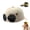 Beige, variant on Pilot Goggles Baseball Cap, Vintage Aviator Style Cotton Hat with Goggle Detail for Travel Outdoor Casual Wear