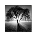 thumbnail image 2 of Trademark Fine Art Andy Westface Promise Canvas Wall Art - 18x18, 2 of 4