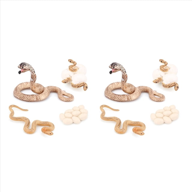 8X Modelo BiolóGico del de Crecimiento de Animal Realista Juguetes Modelo BiolóGico de Crecimiento de la Serpiente de Crecimiento de la Cobra