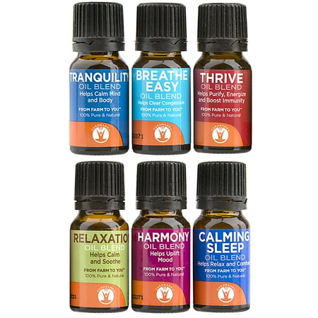 Guru Nanda Top 6 Blends Essential Oils, Pack of 6 (Best Essential Oil Fragrance Blends)