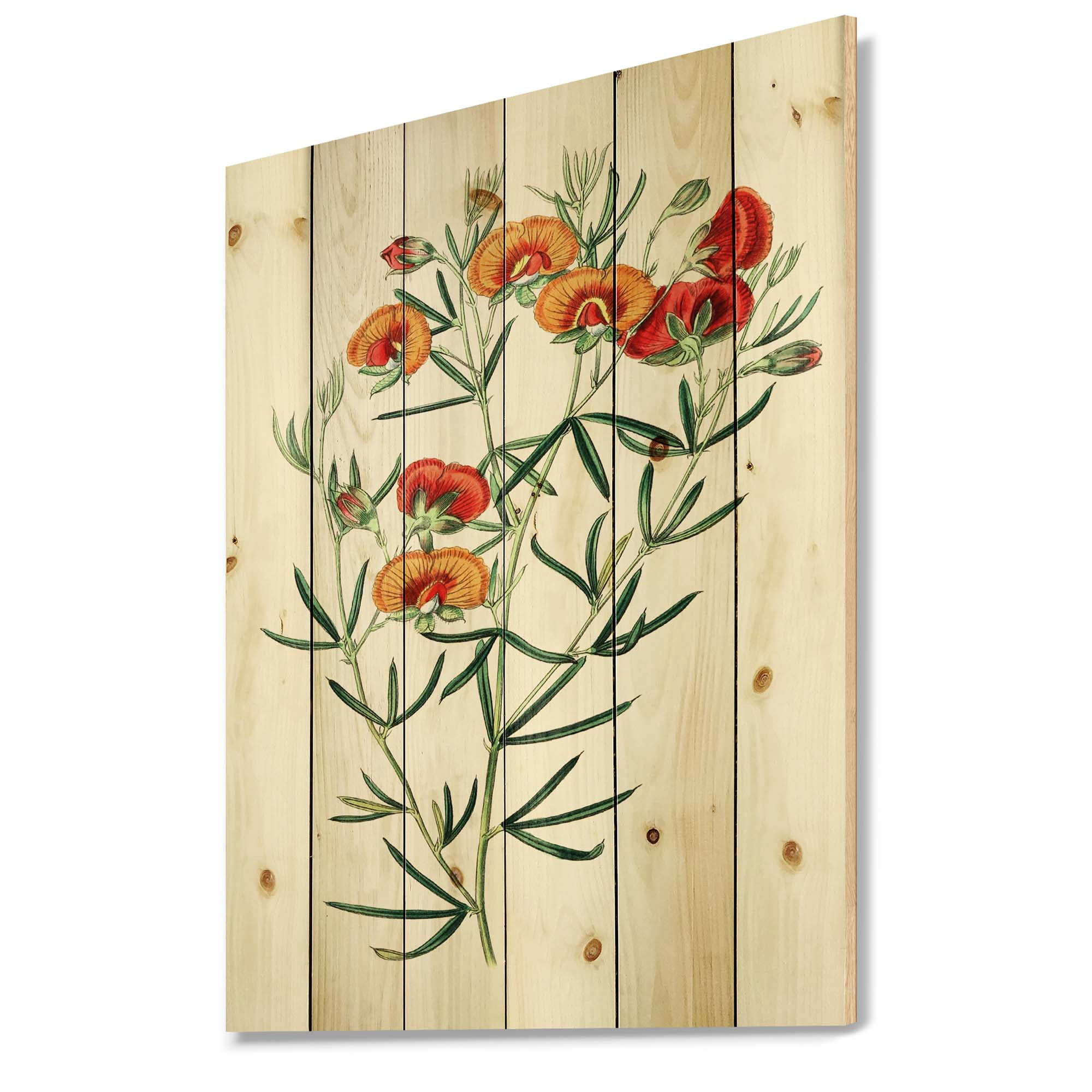 Designart 'Ancient American Flora VIII' Traditional Print on Natural Pine Wood
