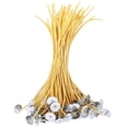 thumbnail image 2 of 100pcs 20cm Beeswax Pre Waxed Wicks for Candle Making with Sustainers, 2 of 6