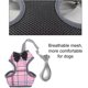 thumbnail image 3 of Cat Harness and Leash for Walking Escape Proof with Bell and Bow-Knot Decoration,Adjustable Soft Kittens Vest for Cats ,S, 3 of 5