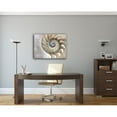 thumbnail image 3 of Sea Shell Swirl Photography Canvas Art 40 x 30, 3 of 4