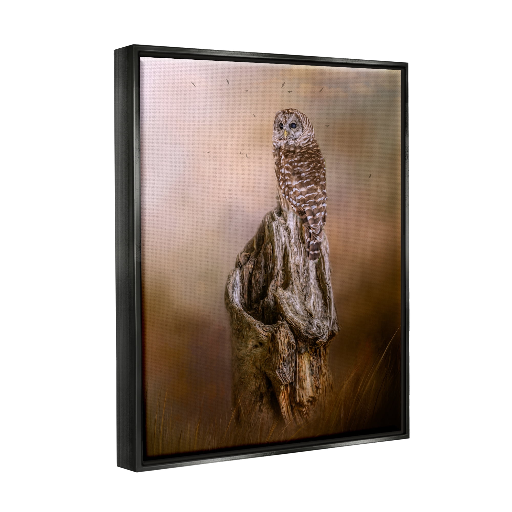 Stupell Barred Owl Perched Tree Trunk Nature Animals & Insects Photography Black Floater Framed Art Print Wall Art