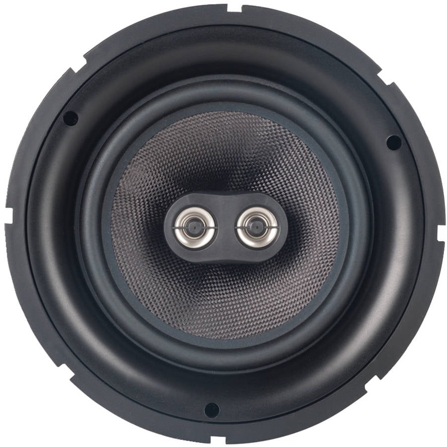 dual tweeter speaker