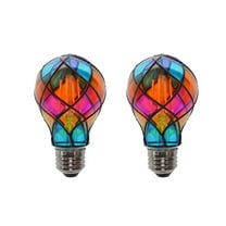 2-Pack Hand-Painted Artistic Light Bulbs, Easy To Paint Diy Craft Project For All Ages Arts And Crafts Lovers, Unique Home Decoration Idea 110V Power Supply