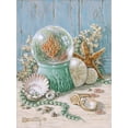 thumbnail image 2 of Kruskamp, Janet 15x18 Black Ornate Wood Framed with Double Matting Museum Art Print Titled - Sea Shell Collection IV, 2 of 4
