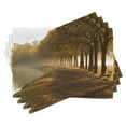 thumbnail image 1 of Ambesonne Nature Place Mats Set of 4, Walkway at Canal Misty, Standard Size, Orange Brown, 1 of 6