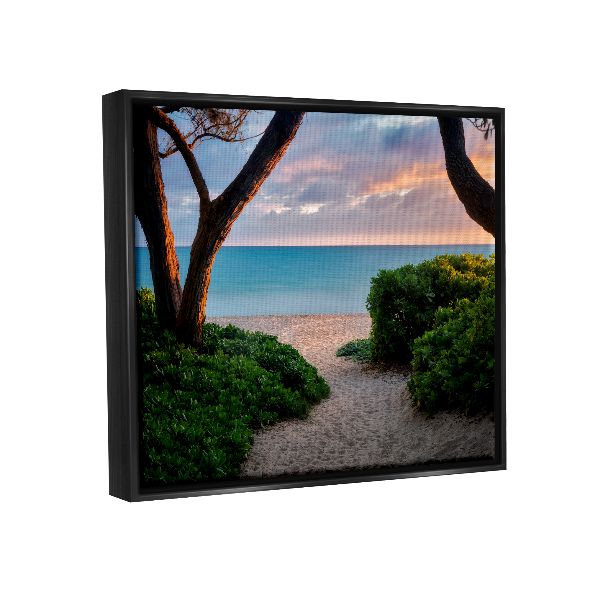 Stupell Industries Between Trees Sandy Beach Path Coastal Photography Black Floater Framed Art Print Wall Art