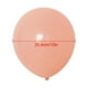 thumbnail image 4 of Billuyoard 100 piezas fiesta globo boda vacaciones cumpleaños DIY látex globo hogar Hotel centro comercial decoración Kits de decoración para fiestas, 4 of 6