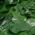 thumbnail image 5 of Artificial Hedge Ivy Leaf Garden Fence Roll Privacy Screen Balcony Wall Cover, 5 of 6