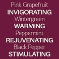 thumbnail image 4 of Plant Therapy Vein Aid Essential Oil Blend Pre-Diluted Roll-On 10 mL (1/3 oz) 100% Pure, Natural Aromatherapy, 4 of 8