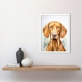 thumbnail image 2 of Hungarian Vizsla Dog Soft Watercolour Artwork Golden Rust Teal Bright Portrait Art Print Framed Poster Wall Decor 12x16 inch, 2 of 5