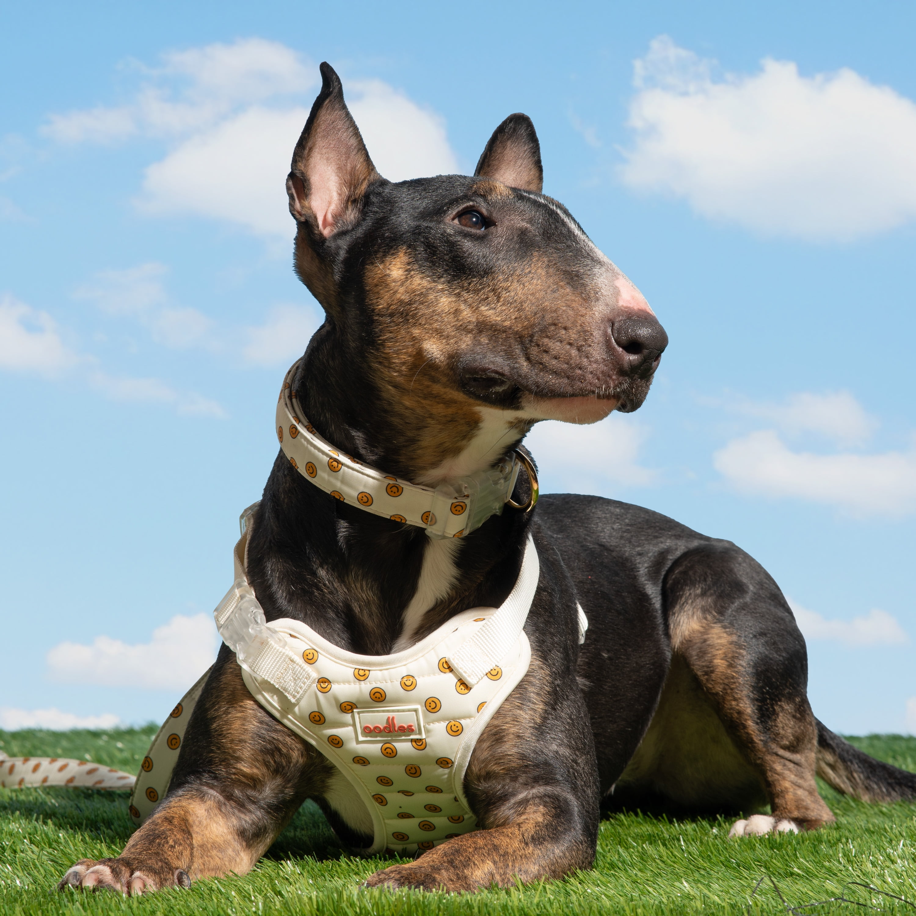 Oodles Tan Smiley Faces Quilted Adjustable Dog Harness, Medium